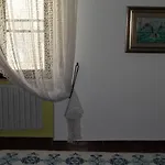 Solimarina Alguer