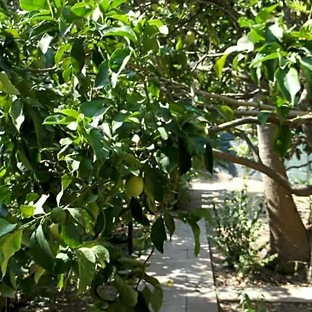 Bed & Breakfast Solimarina 3*