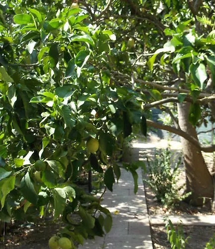 Solimarina 3* Alghero